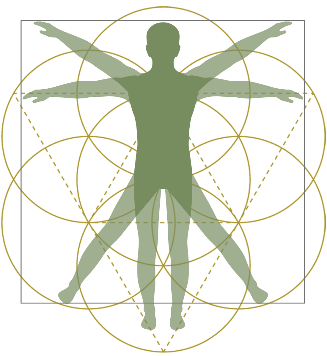 davinci-flower-of-life-man-olive-green01